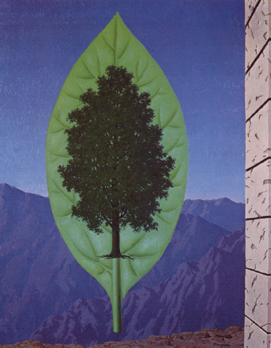 Le dernier cri (The Last Word)