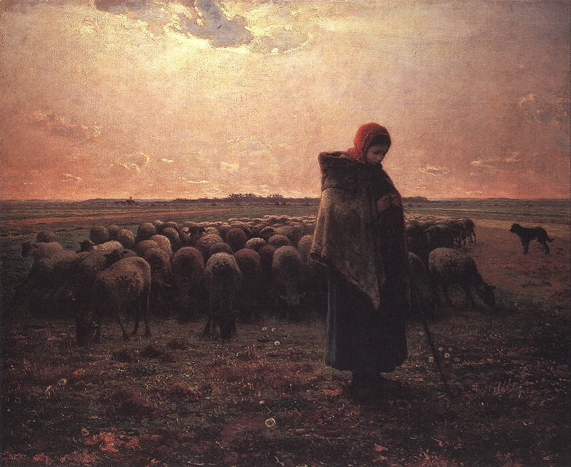 Shepherdess and Her Flock
