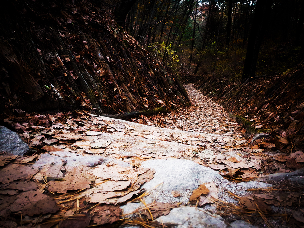 무수길 가는 길