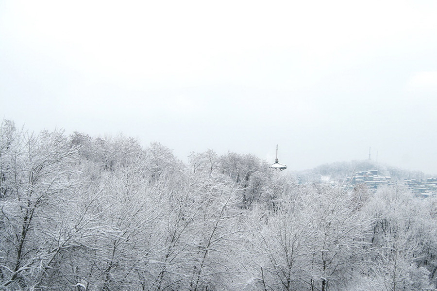 겨울 산을 덮은 눈
