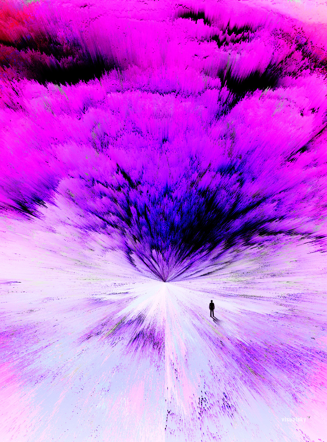 VISUALSKY