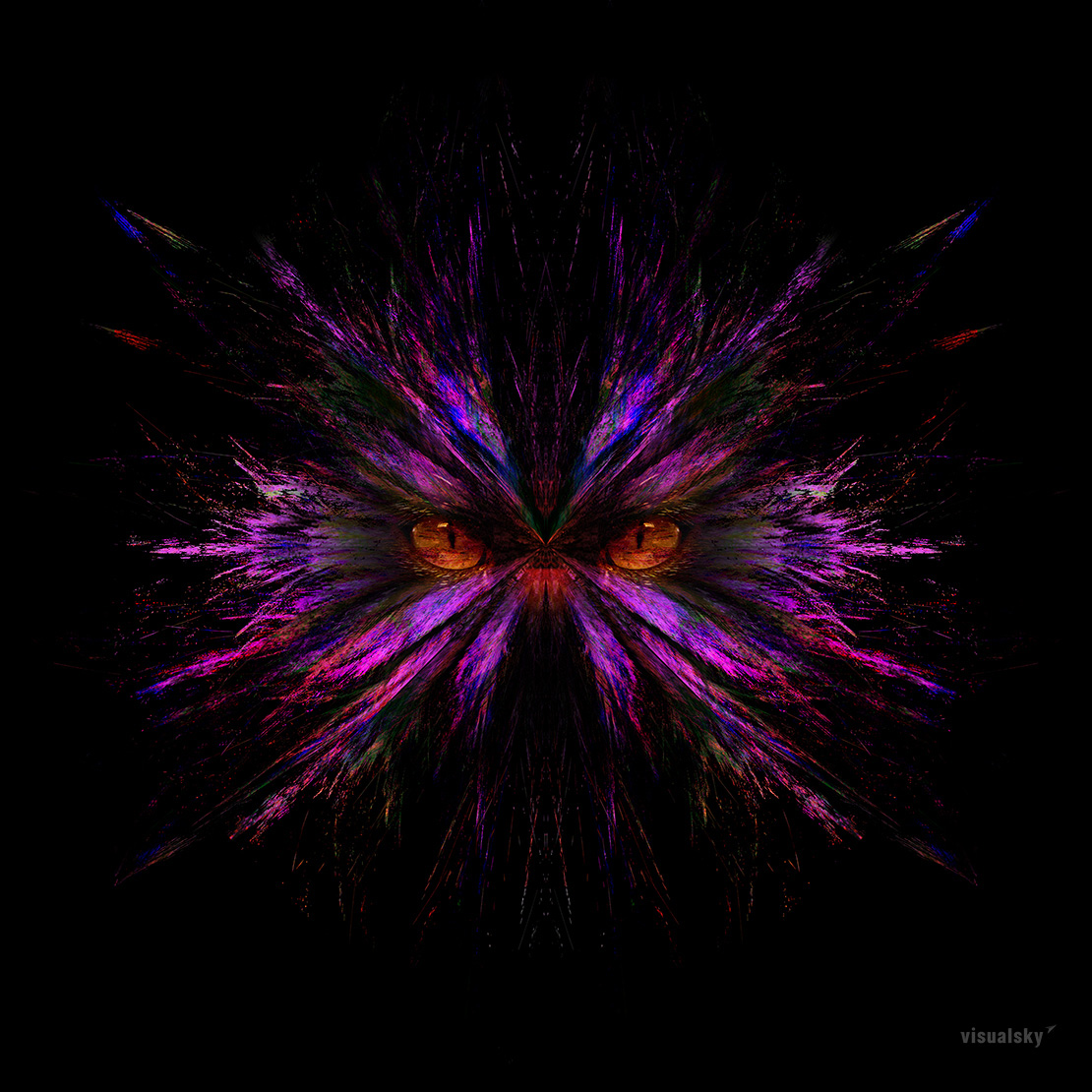 VISUALSKY